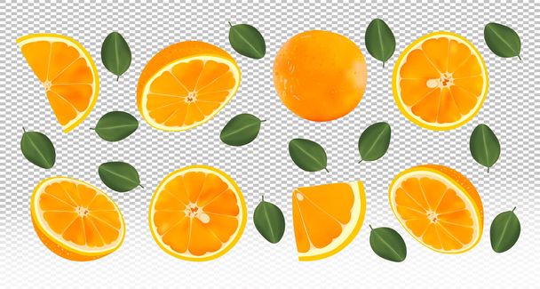 3D realisztikus friss narancs zöld levelekkel.Falling narancs átlátszó háttérrel. A repülő narancs gyümölcsök egészben és félbevágva vannak. Vektorillusztráció. - Vektor, kép