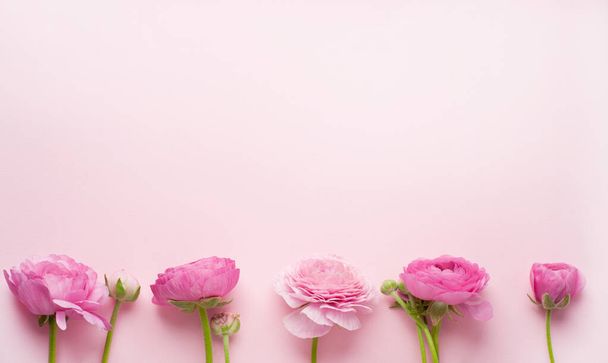 Beautiful bouquet of ranunculus flowers of pink color on a pink background. Flowers and buds. Copy space for tex - Fotó, kép