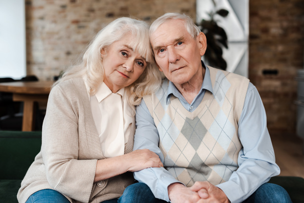 starsze pary przytulają się i siedzą w domu na kwarantannie - Zdjęcie, obraz