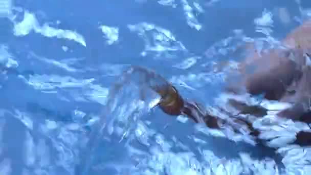 Víz ömlik ki a csőből a kék medencében és hullámok hullanak.. - Felvétel, videó