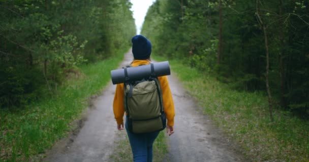 Zeitlupe: Junge Frau wandert im Herbst im Wald Aktive, gesunde Kaukasierin mit einem Rucksack, der Holz aufnimmt. Reisenden mit Spaziergängen entlang Wald Rückansicht, Freizeit, Bio-Tourismus, Wandern - Filmmaterial, Video