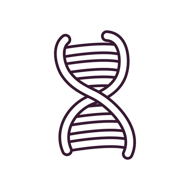 隔離されたDNA構造ラインスタイルのアイコンベクトルデザイン - ベクター画像