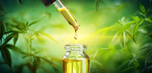Drop Oil Hemp Cannabis - Photo, Image