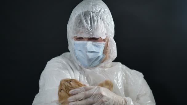 veterinario de traje y máscara calma gato rojo antes de la operación durante la pandemia coronavirus
 - Metraje, vídeo