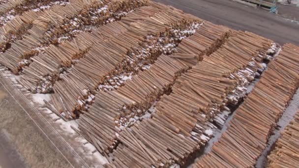 AÉRIAL : Survoler des troncs d'arbres hachés empilés en tas près d'une scierie - Séquence, vidéo