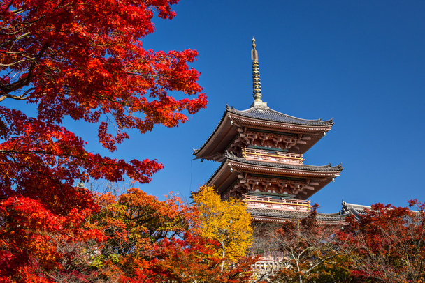 Templo Kiyomizu
 - Foto, Imagen