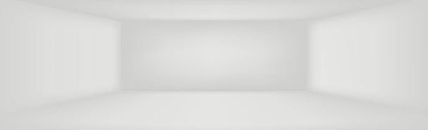 Blanco con fondo estudio panorámico gris con brillo blanco - Vector, Imagen