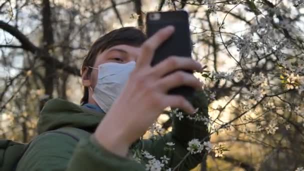 man in medical mask takes selfie on smartphone to blossoming apple tree at sunset, coronavirus epidemic - Footage, Video