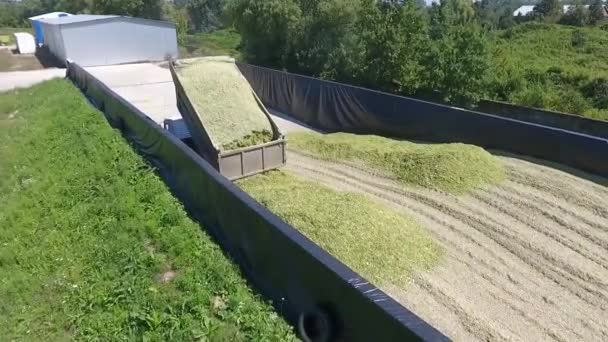 camión descarga carga maíz agro
 - Metraje, vídeo
