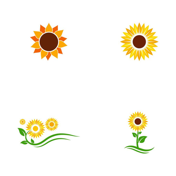 sunflower vector icon design template illustration - Vector, Image