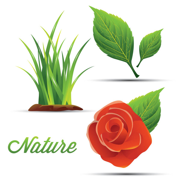 set of nature icons - Vektor, Bild