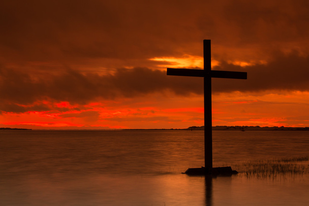 Водный крест
 - Фото, изображение