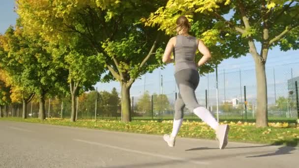 LOW ANGLE: Fit γυναίκα πηγαίνει για τρέξιμο γύρω από το γραφικό πάρκο την ηλιόλουστη μέρα του φθινοπώρου. - Πλάνα, βίντεο