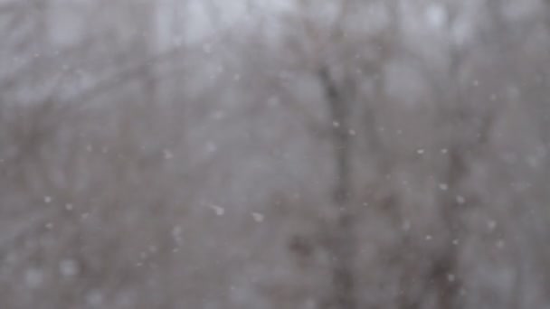 Winter. Schneefall. Schnee. Weihnachtsschneeflocken - Filmmaterial, Video