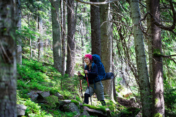 Hiker girl with backpack and trekking sticks walks up a mountain trail among stones and trees in the coniferous forest in summer. Outdoor activity, tourism concept. - Photo, Image