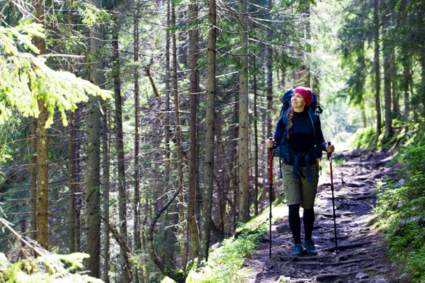 Hiking girl is walking a mountain trail in forest. A girl with a tourist backpack and trekking poles walks down a mountain trail among the roots in a coniferous forest. Outdoor activity, tourism concept. Hiking in forest. - Photo, Image