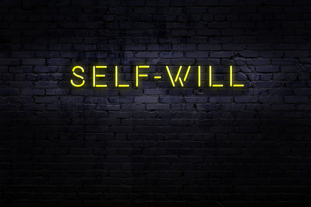 Nachtzicht van neon teken op bakstenen muur met inscriptie zelfwil - Foto, afbeelding