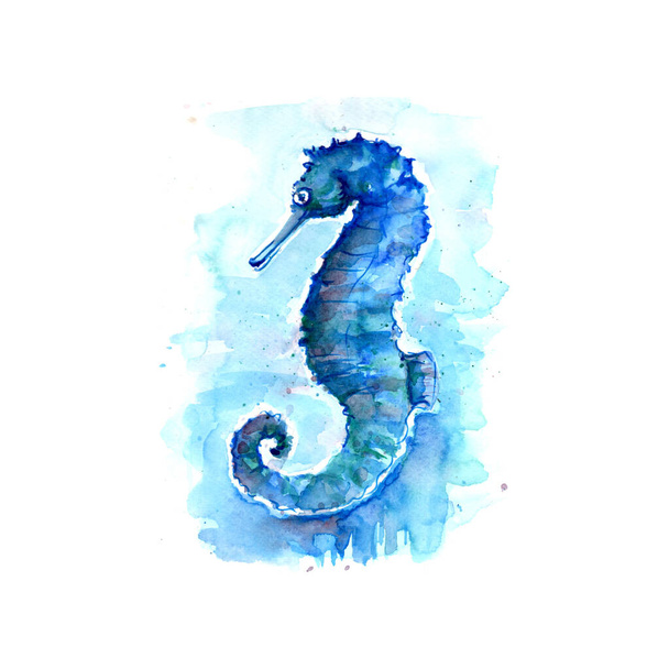 Aquarelle painting of seahorse sketch art pattern illustration - Foto, imagen
