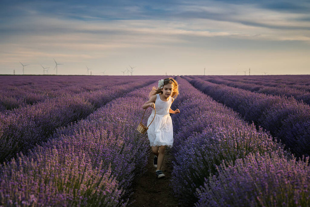 Beautiful little girl enjoying and running between rows of blooming lavender field at golden hour before sunset - Photo, image