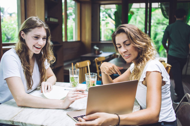 Cheerful young lady pointing on laptop and showing information to smiling astounded female friend, both sitting in cozy cafe and discussing project - 写真・画像