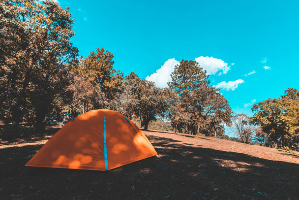 Dağlarda kamp yapan turist çadırı - Fotoğraf, Görsel