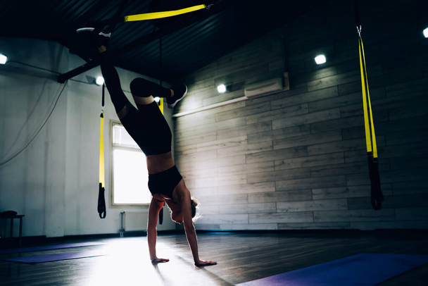 Healthy strong female athlete training by raising one leg while standing with hands on floor during fitness class in studio in back lit - Foto, Imagem