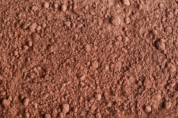 Dry cocoa powder background close up.  - Foto, Bild