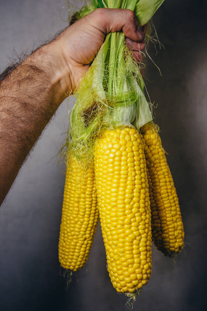 In a rough male farm hand three ears of corn - 写真・画像