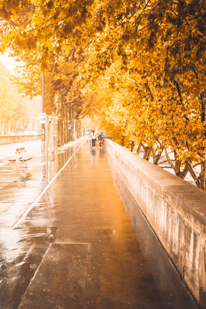 Rainy cloudy autumn day on the city alley - Φωτογραφία, εικόνα