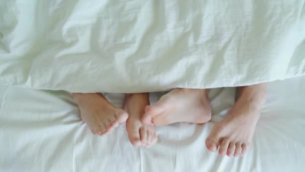 Couple in bed making love. male and female legs top view. White linens - Video