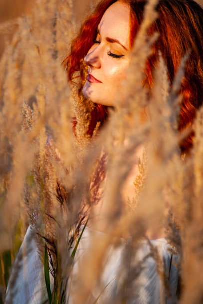 Kızıl saçlı güzel kadın çayırdaki çimlerde poz veriyor.   - Fotoğraf, Görsel