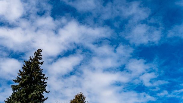 a kék ég háttér fehér bolyhos felhők   - Fotó, kép