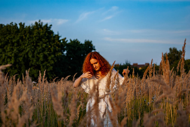 rothaarige schöne Frau posiert im Gras auf der Wiese   - Foto, Bild