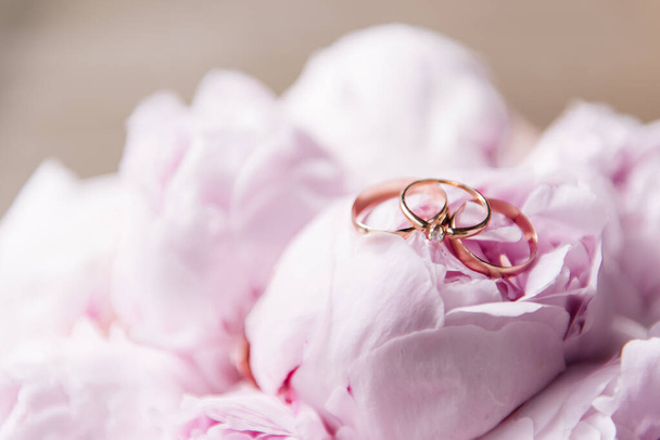 Wedding rings on a background of pink peonies - Fotoğraf, Görsel