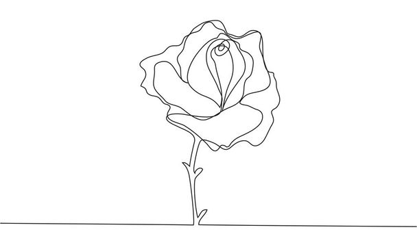 One line rose design - Hand drawn minimalism style illustration. - Vettoriali, immagini