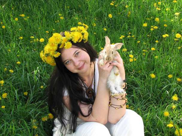 A young girl in white clothes with long black hair and a wreath of dandelions sits on a bright green field with dandelion flowers and holds a cute little rabbit in her hands. - Foto, Imagen