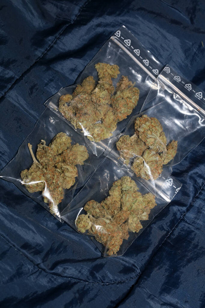 Cannabis in bag super lemon haze medical macro modern background high quality print - Photo, Image