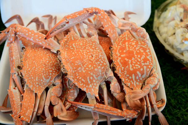 Gedämpfte Blaue Krabben in Schaumstoffbox zum Verkauf - Foto, Bild