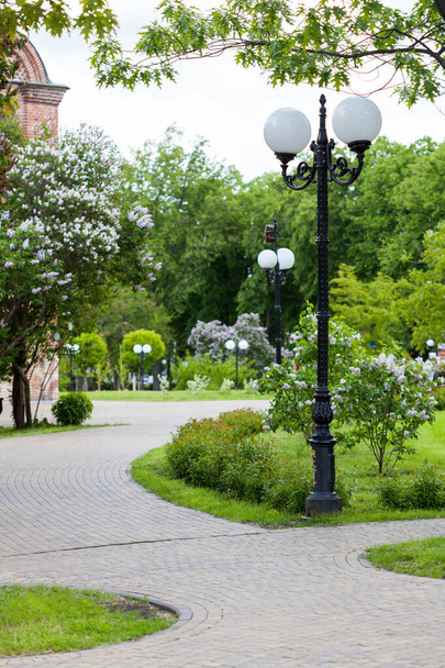 Sentiers sinueux dans le parc, parc de printemps
 - Photo, image