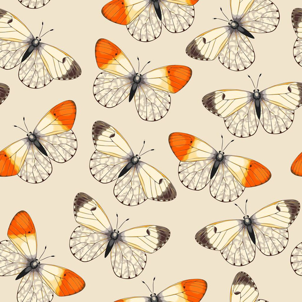 Vektormuster mit detailreichen, lebendigen Schmetterlingen - Vektor, Bild