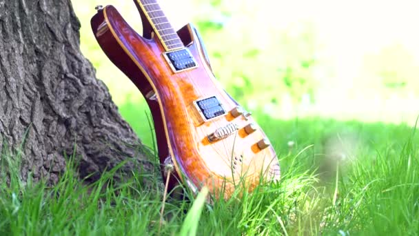 Gouden amber sunburst elektrische gitaar onder een boom op het gras. Close-up van een muziekinstrument met kopieerruimte - Video