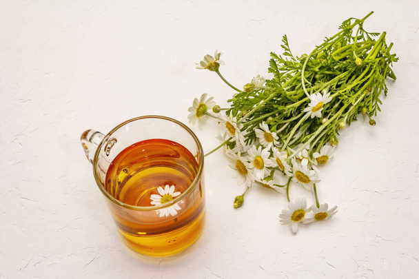 Papatya çayı. Taze çiçekler, yaz sıcak içecek konsepti. Alternatif tıp, yaşam tarzı. Beyaz macun arkaplanı, kopyalama alanı - Fotoğraf, Görsel
