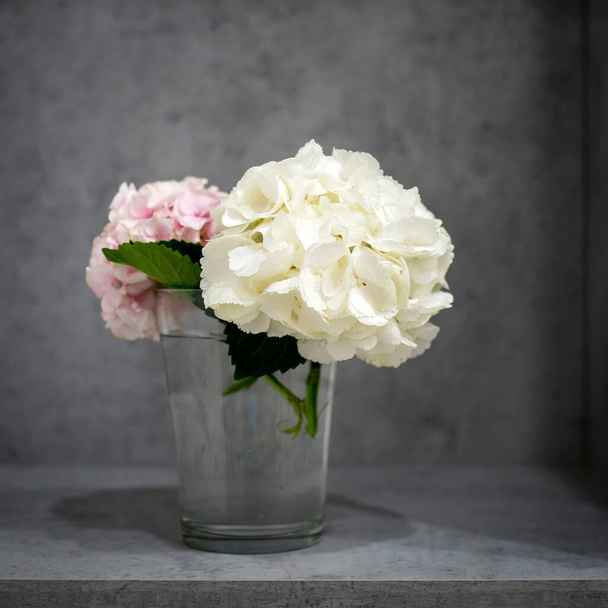 White and pink pastel hydrangea in a glass vase on a gray craft vintage background. Copy space - Foto, Bild