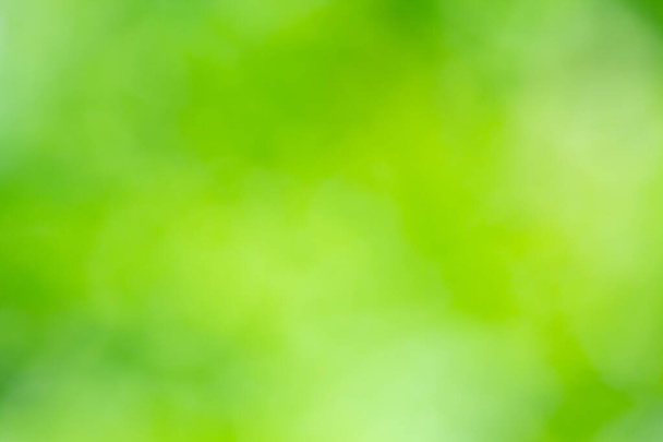 Боке фон С естественным светом, зеленый, желтый с размытым - Фото, изображение