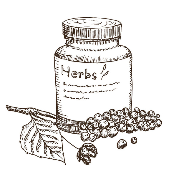Lékařské byliny sbírka léčivých rostlin ručně kreslené vinobraní skica vektor ilustrace. - Vektor, obrázek