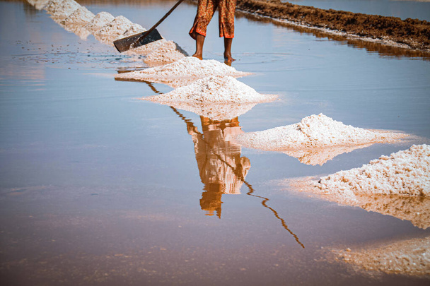 Foto cinematográfica del trabajador del campo de sal cosechando sal en la provincia de Kampot en Camboya que muestra la cultura local, los medios de vida y la vida real del pueblo jemer.
 - Foto, Imagen