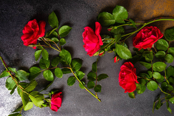 Fresh red roses on dark concrete background with copy space as a gift card concept - Valokuva, kuva