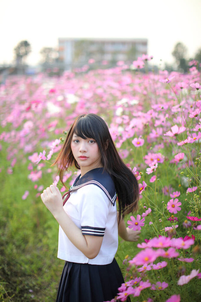ピンクのコスモスの花で統一された日本の女子高生の肖像  - 写真・画像