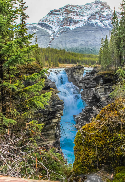Athabaska Falls, Jasper National Park, Альберта, Канада. - Фото, изображение