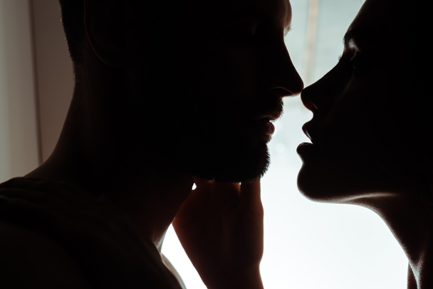 Seksi, tutkulu, genç öpüşen çiftin siluetleri. - Fotoğraf, Görsel